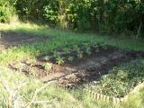 Bilder